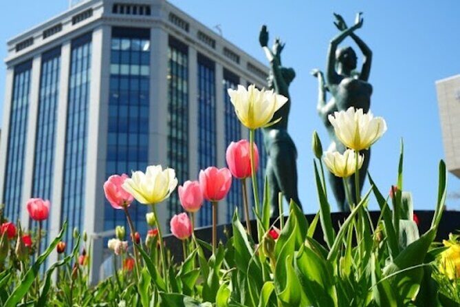 Sapporo Afternoon Walking Tour 2h 30mins - Odori Park reset: the easiest way to feel Sapporo’s rhythm