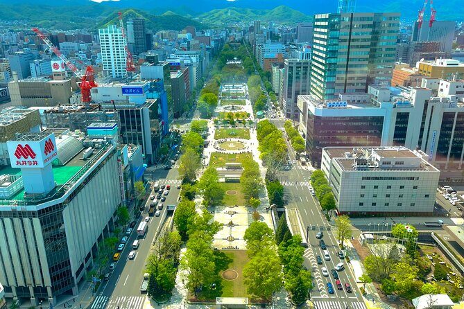 Sapporo Afternoon Walking Tour 2h 30mins - Sapporo TV Tower: included admission and a real view of the city