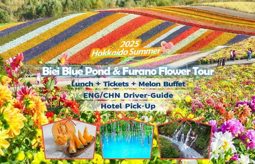 Sapporo: Furano Flower Sea & Biei Blue Pond Tour w/ Pickup - Key things to know before you go