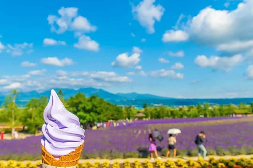 Sapporo: Furano Flower Sea & Biei Blue Pond Tour w/ Pickup - The drive rhythm back to Sapporo: comfort, timing, and rest stops