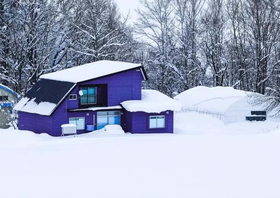 Sapporo: Furano Lavender & Biei Blue Pond Tour with Lunch - Guide Style and Group Pacing: The Good and the Not-So-Great