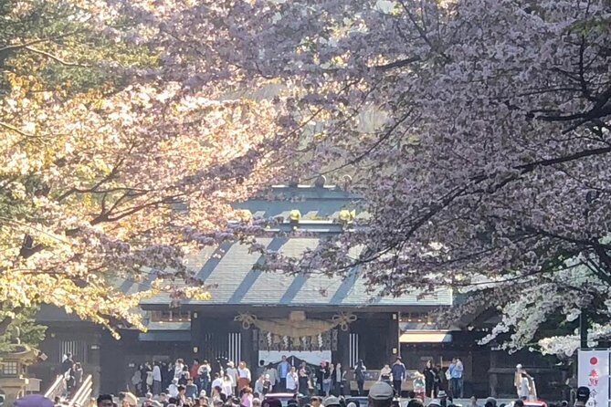 [Sapporo] Go by private car! Takino Cemetery, Hokkaido Shrine, Shiroi Koibito Park - Key Points Before You Go