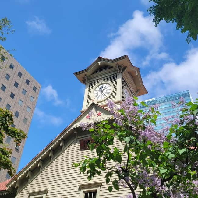Sapporo Highlights: Golden Route Morning Guided Walking Tour - Meeting Under the Sapporo TV Tower and Getting Oriented Fast
