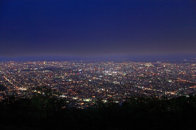 Sapporo Mt. Moiwa & Asahiyama Memorial Park Night View Trip - Price and What You’re Actually Paying For