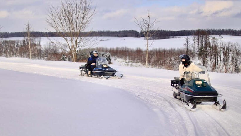 Sapporo Winter : Asahiyama Zoo (Penguin Fun & Snowmobile) - What to pack for Hokkaido cold (and what to avoid bringing)