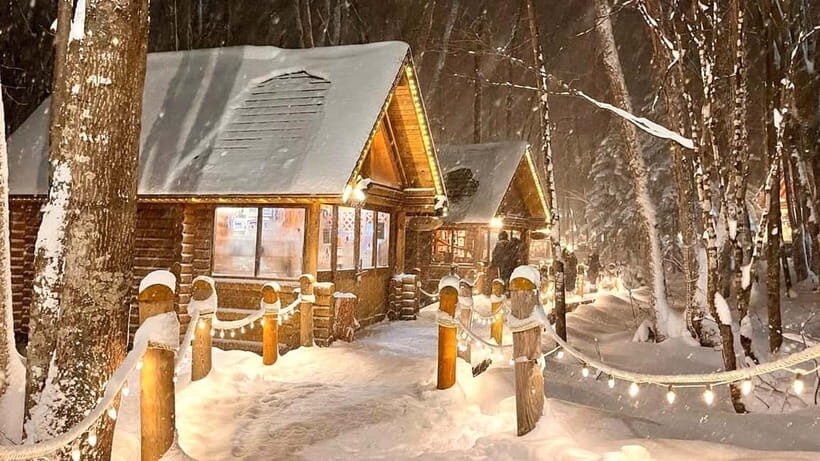 Sapporo Winter : Asahiyama Zoo (Penguin Fun & Snowmobile) - Shikisai-no-oka: snowy white fields, mountain backdrops, and the snow park option