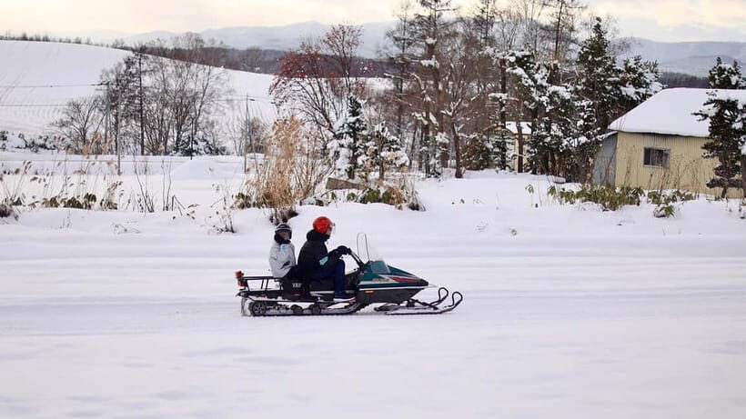 Sapporo Winter : Asahiyama Zoo (Penguin Fun & Snowmobile) - Ken & Mary Tree: quick drive-by, smart photo planning