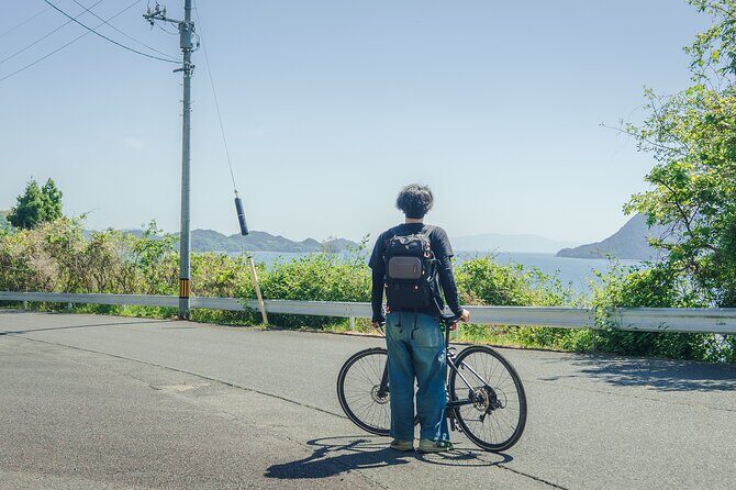 Savor Setouchi inland sea Local Food & Bike Tour with Local Guide - The cycling route: ports, hills, and Seto Inland Sea views