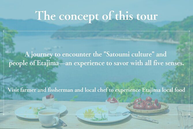 Savor Setouchi inland sea Local Food & Bike Tour with Local Guide - Price and value: what you’re paying for at $162.58