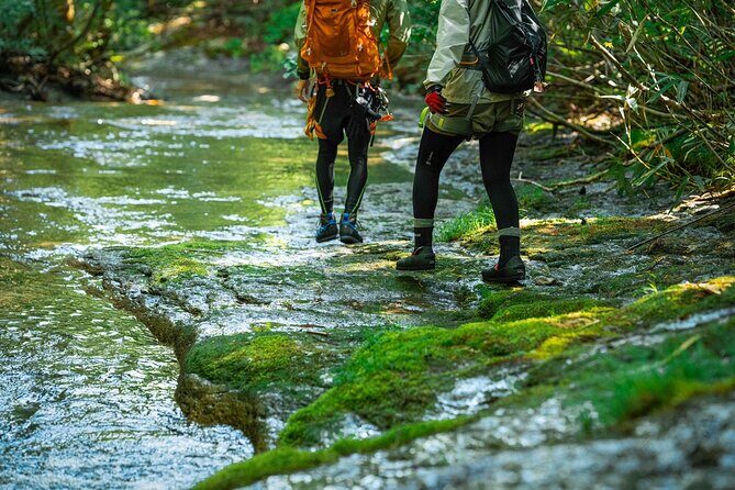 Sawanobori River Trekking Tour - What the day looks like, step by step