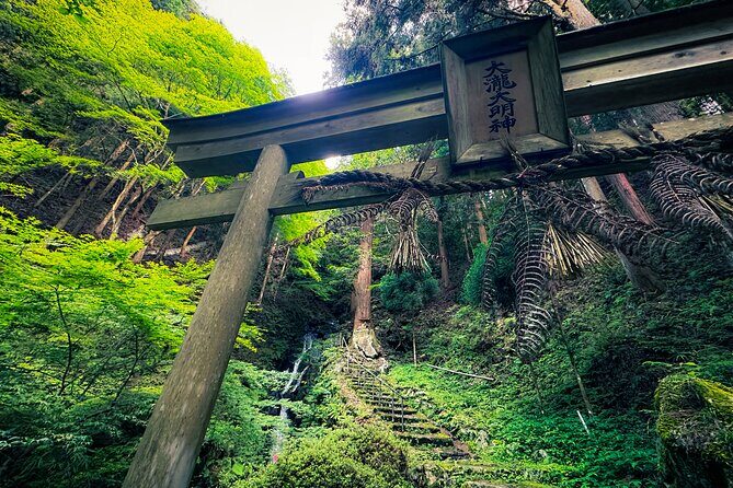 Scenic Green Tea Fields of Hidden Kyoto & Local Tea Exp (Private) - Pickup, ride comfort, and how to think about timing