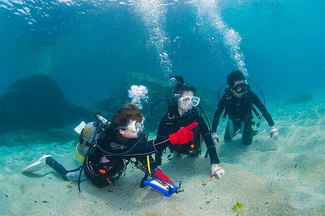 Scuba diving in Yakushima! (Guided Fun Diving for Licensed Guests) - Harazaki and Shigeru: Patient Coaching and Real-World Problem Solving