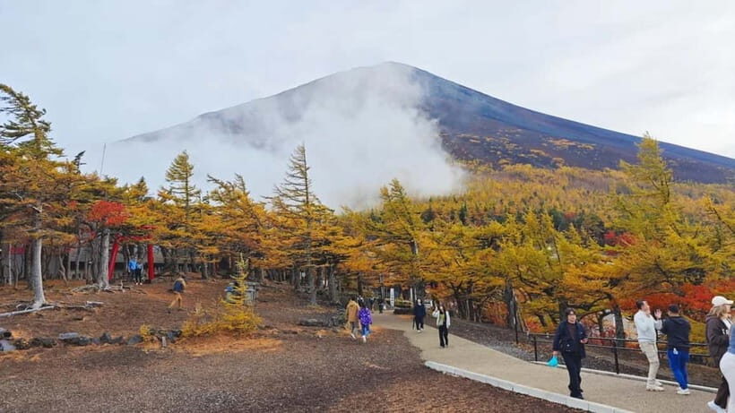 [Seasonal Limited] Mt. Fuji 5th Station &Hot Spring Day Tour - Tokyo to Fuji: The Long Bus Ride That Sets the Tone