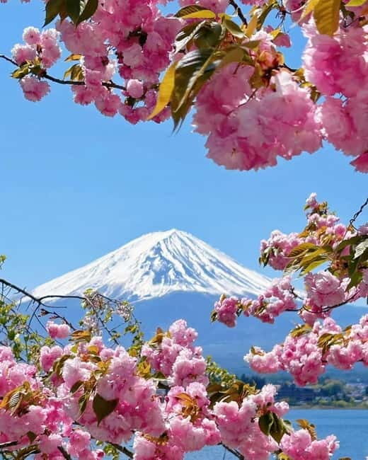 [Seasonal Limited] Mt. Fuji 5th Station &Hot Spring Day Tour - Gotemba Premium Outlets: The Shopping Backup When Onsen Timing Shifts