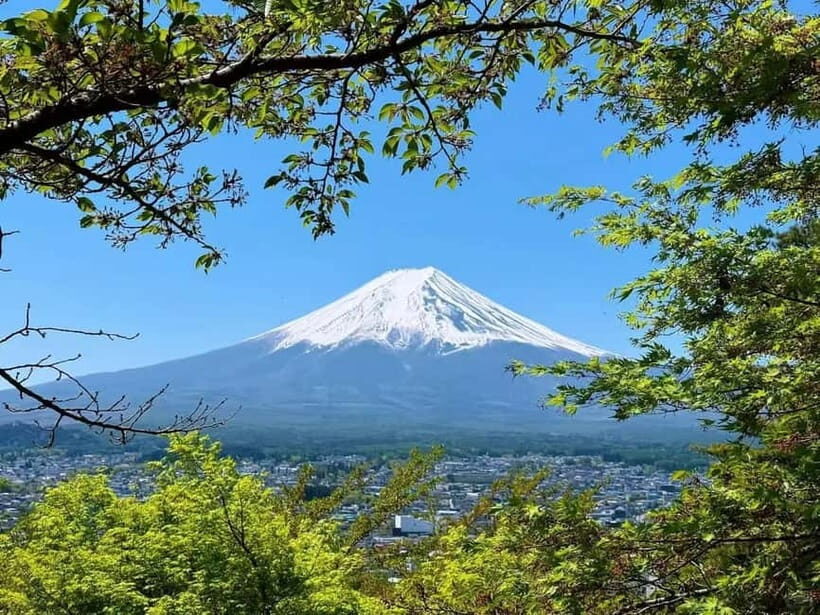[Seasonal Limited] Mt. Fuji 5th Station &Hot Spring Day Tour - Price and Value: What $50 Buys You in Fuji Reality
