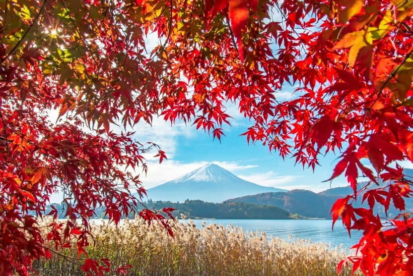 Seasonal Mt. Fuji Scenic Views, Fruit Picking and Ropeway! - One Day, Real Scenery: How This Mt. Fuji Plan Fits Together