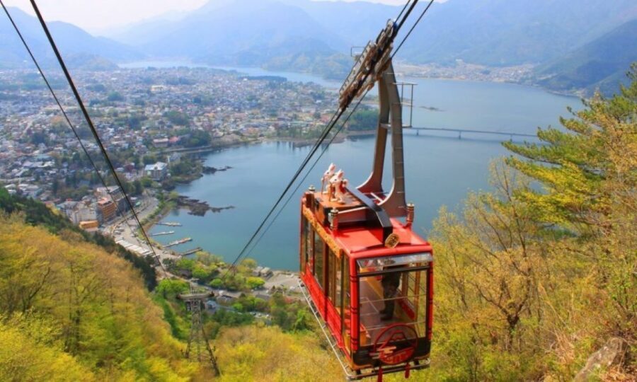 Seasonal Mt. Fuji Scenic Views, Fruit Picking and Ropeway! - The Driver and Guide Factor: When People Want the Peak
