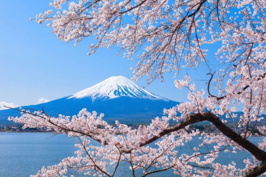 Seasonal Mt. Fuji Scenic Views, Fruit Picking and Ropeway! - What Can Go Wrong (and How You’ll Still Get a Good Day)
