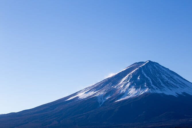 Seasonal Mt. Fuji Scenic Views, Fruit Picking and Ropeway Ride! - Tokyo to Fuji, Without the Stress