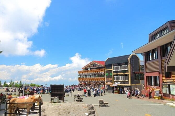 Seasonal Mt. Fuji Scenic Views, Fruit Picking and Ropeway Ride! - Price and Value: What $92.24 Buys You