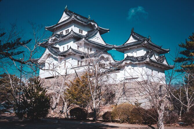 Secrets of Ninjas X Samurais: Private History Tour to Iga & Koka - Iga and Koka: where ninja history feels specific (not generic)