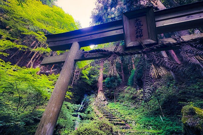 Secrets of Ninjas X Samurais: Private History Tour to Iga & Koka - Stop 1: Iga-ryu Ninja Museum and how to read what you see