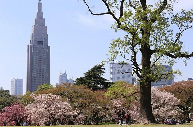 Shared Departure Transfer : Central Tokyo Hotel to Haneda Airport - Luggage rules: what’s included and what needs extra planning