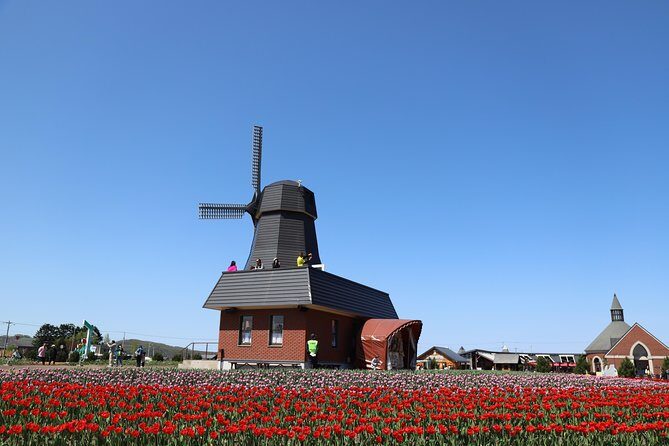 [Shibazakura / Tulip] Going by private car, Shibazakura Takinoue Park and Kamiyubetsu Tulip Park (from Sapporo) - Price and Logistics: What You’re Paying For (and What You’re Not)