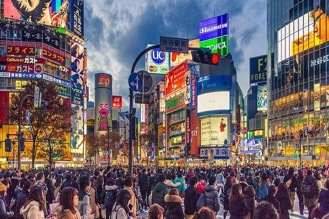 Shibuya All You Can Eat Best Food Tour The Original One in Tokyo - MEGA Don Quijote: 24-hour chaos and a fun last stretch