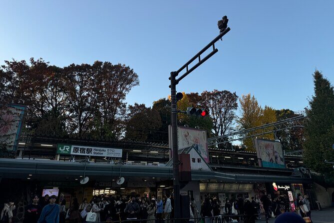 Shibuya and Harajuku Highlights Walking Tour - Key Things You’ll Notice on This Walk
