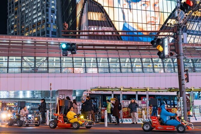 Shibuya Go Karting Tour with Funny Costume - Who this tour suits best (and who should think twice)
