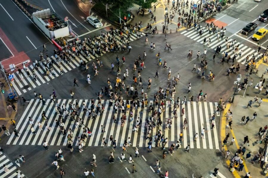 Shibuya & Harajuku: Hidden Gems & Highlights Private Tour - Rooftop City Views and Family-Run Cafés