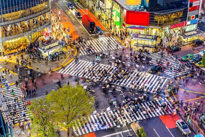 Shibuya Hidden Flavors A Family Friendly Foodie Tour With Guide - Quick hits before you go