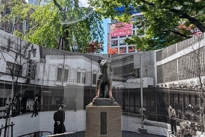 Shibuya Highlights Hachiko Scramble Meiji Jingu and Sky - Key Highlights Worth Your Time