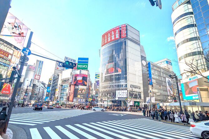 Shibuya Highlights Hachiko Scramble Meiji Jingu and Sky - Meeting at Hachiko: Starting With Tokyo’s Most Photo-Ready Dog