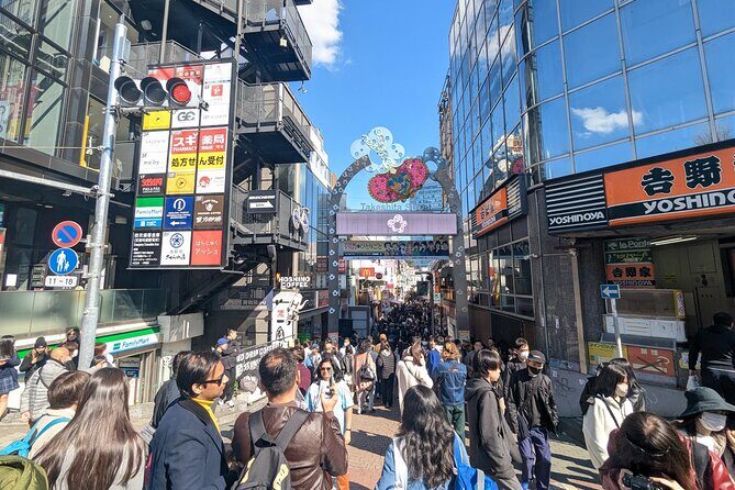 Shibuya Highlights Hachiko Scramble Meiji Jingu and Sky - Guides and Tailoring: Why Private Matters in a City Like This