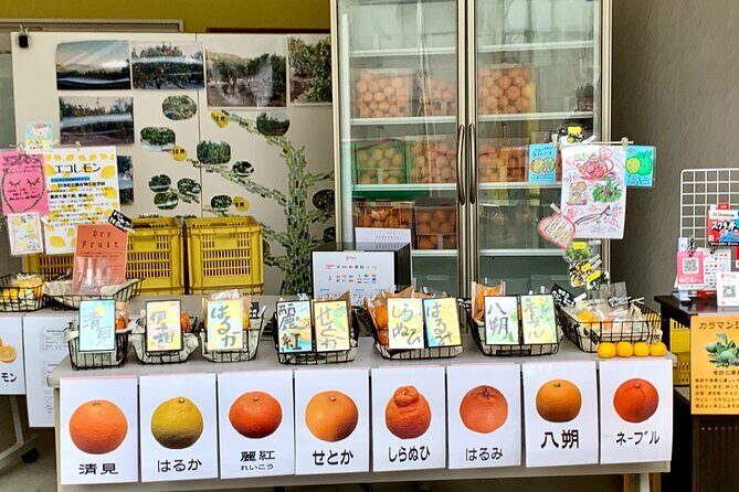 Shimanami Kaido, 1Day Relaxed Island Hopping Cycling Tour - Ikuchi Island: Citrus Coasts and an Art-Island Reputation