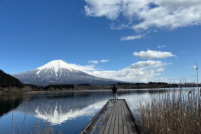 Shimizu Port Private Car Tour – Mt. Fuji & Local Highlights - Key highlights at a glance