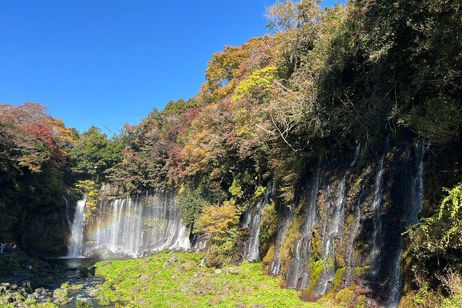 Shimizu Port Private Car Tour – Mt. Fuji & Local Highlights - Fuji Takasago Sake Brewery: Shizuoka flavor at the foot of Fuji