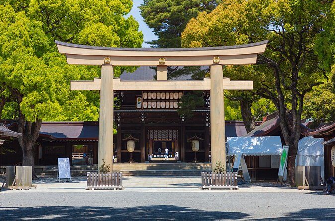 Shinto Shrine Tour: Explore Japanese Culture in Tokyo - Price and Value: What $206.26 Covers (and Why It’s Not Just a Ticket)