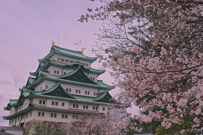 Shiragawa-go, Hida Takayama UNESCO Full-Day Tour from Nagoya - Timing, crowds, and why this day can feel rushed