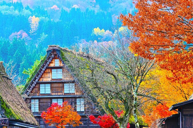 Shirakawa-go and Hida-Takayama Private Day Trip from Nagoya - Key things to know before you go