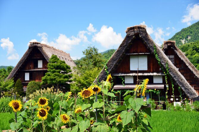Shirakawa-go from Takayama/Nagoya One day Bus ticket - Nagase House and Wada House: taller, bigger, and very photo-friendly