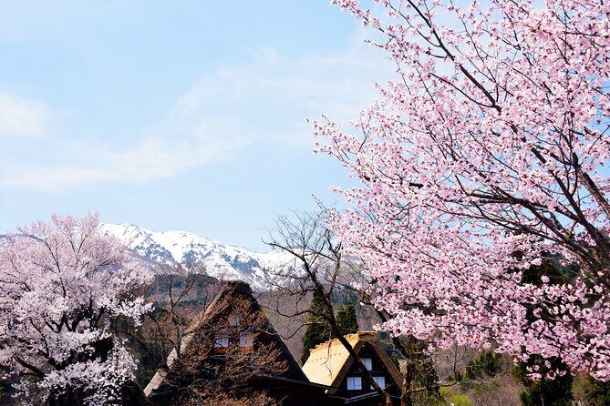 Shirakawa-go from Takayama/Nagoya One day Bus ticket - Ogimachi Castle observation deck: the best payoff for your effort