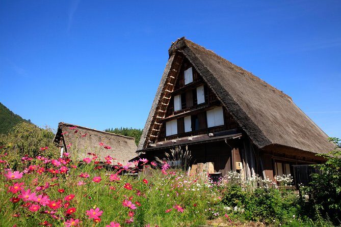Shirakawa-go Half day tour (UNESCO World Heritage near Takayama) - Stop 5: Rice paddies and village life (the final piece of the puzzle)