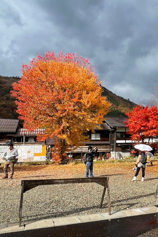 Shirakawa-go UNESCO Half-Day Tour from Takayama - Price and value: what $103 buys you in real terms