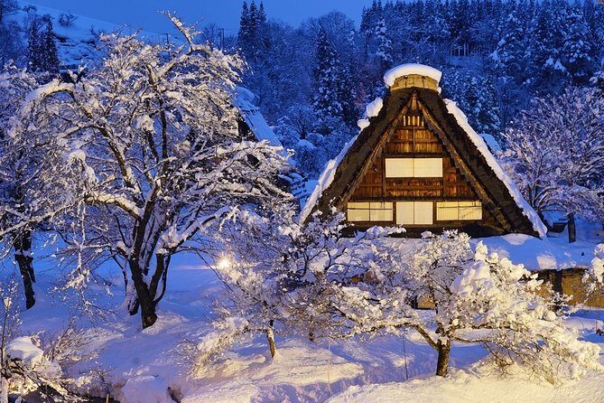 Shirakawago All Must-Sees Private Chauffeur Tour with a Driver (Takayama DEP.) - How the private chauffeur setup keeps it low-stress