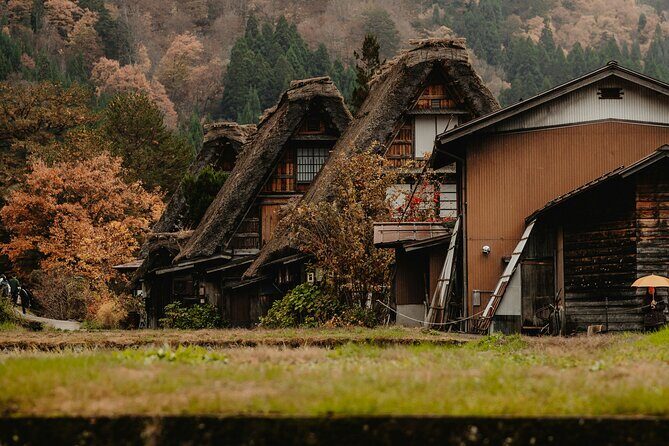 Shirakawago & Kanazawa from Kanazawa - Key things to know before you go