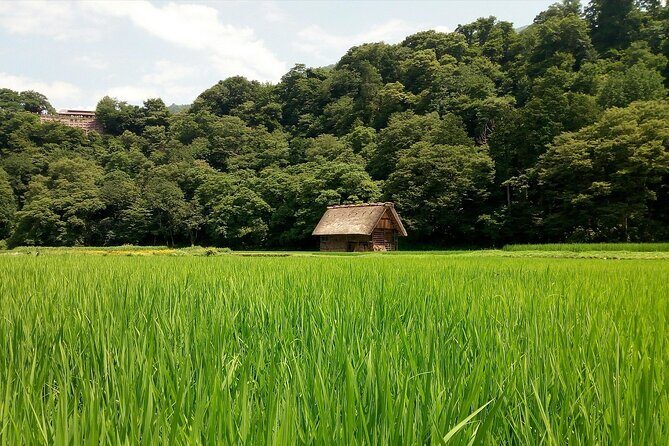 Shirakawago & Kanazawa from Kanazawa - Shirakawago: UNESCO gassho-zukuri houses and the best way to use your free time