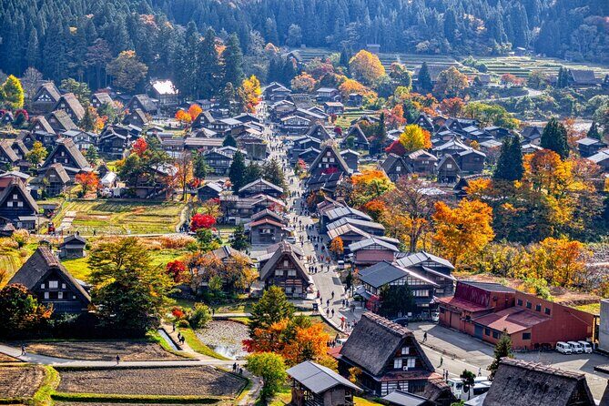 Shirakawago & Takayama Bus Tour from Nagoya w/Optional Lunch - Guide quality matters: what the best days feel like